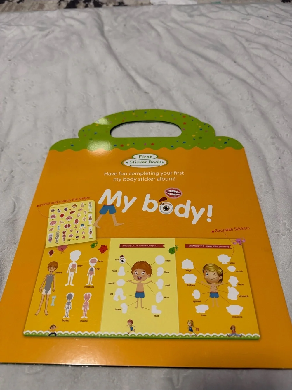 My Body! Kids Educational Sticker Book - Orange